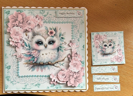 Cute  Owl  Mini Kit by Jennie Settle