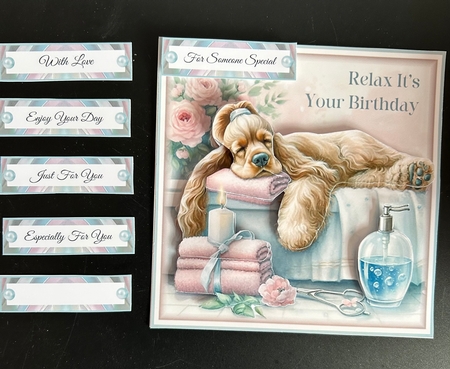 Relax Its Your Birthday 02 Mini Page Kit by Jennie Settle