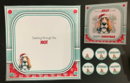 The Jolly Christmas Dog by Jennie Settle