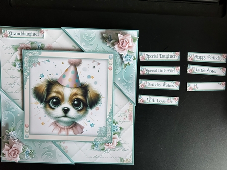 Have A Woofly Birthday by Jennie Settle