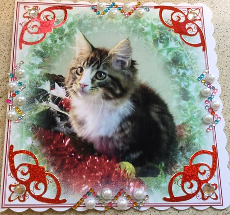 Christmas Kitten by Jennie Settle