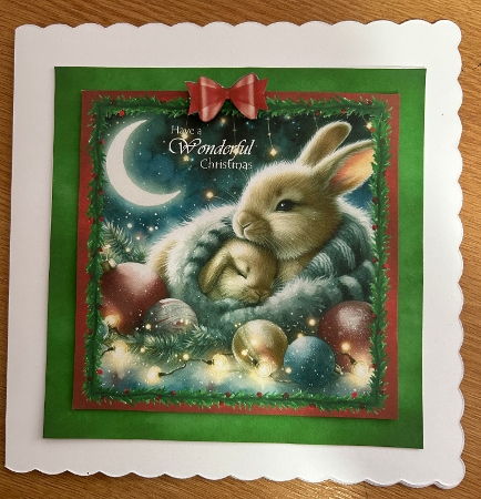 Christmas Nature set 4 by Jennie Settle