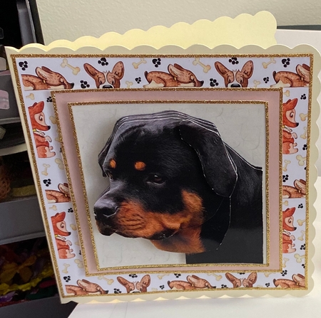 Rottweiler Portrait 3D Decoupage by Jennie Settle