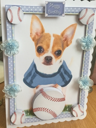 Play Ball! by Jennie Settle