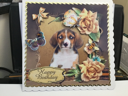 Cute Beagle Puppy Card Front and Gift Card by Jennie Settle