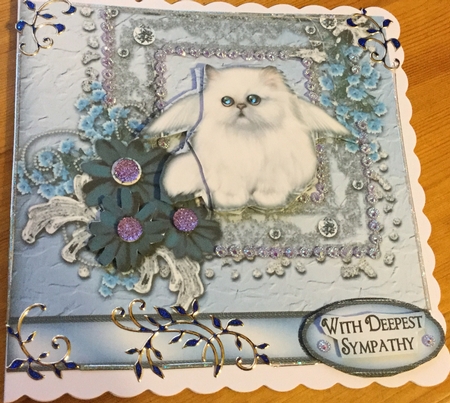 Sweet Cat Sympathy Qs by Jennie Settle
