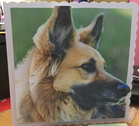 Furry Friends & Familiars - Dogs - German Shepherd 2 + Tag + by Jennie Settle