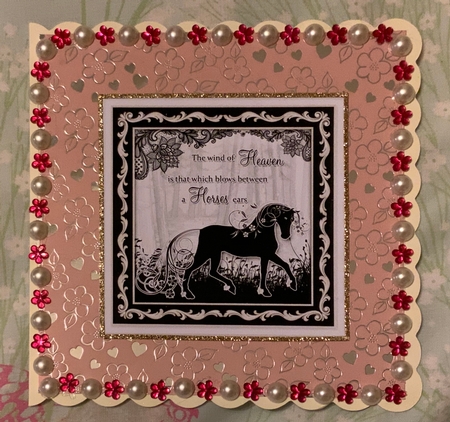 Delicate Words - Horse by Jennie Settle