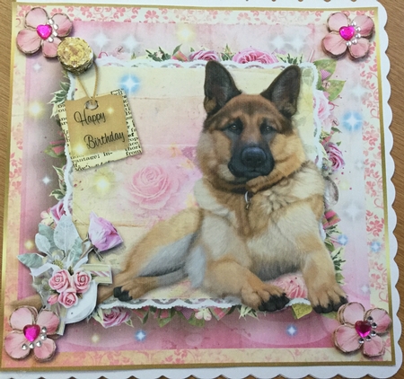 Happy Birthday German Shepherd by Jennie Settle