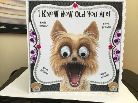 I Know How Old You Are! 8x8 by Jennie Settle