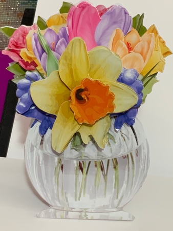 SFV  Spring flowers by Jennie Settle