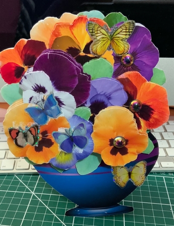 SFV  Pansies by Jennie Settle