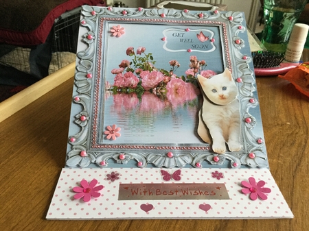 roses and kitten by Jennie Settle