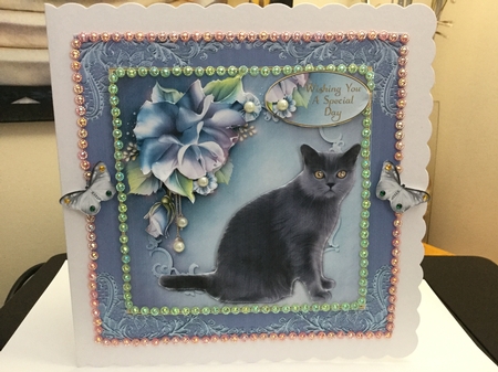 Grey Cat & Porcelain Roses Mini Kit by Jennie Settle