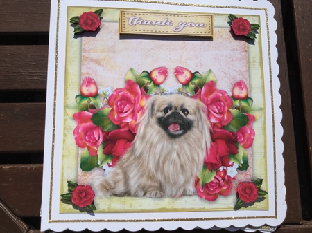 7x7 Pekingese Wishes by Jennie Settle