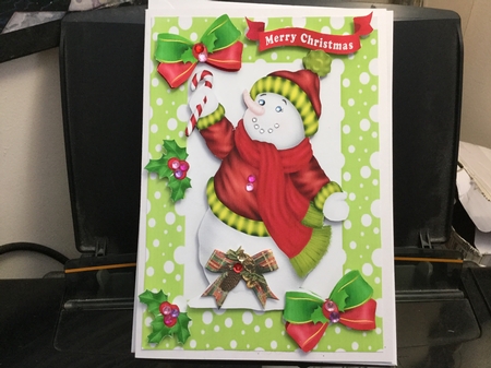snowman with holly and bows in green spot frame A5 by Jennie Settle