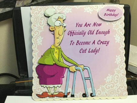 Old Lady Humor 1 8x8 by Jennie Settle
