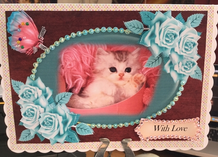 Kitty Cuteness by Jennie Settle