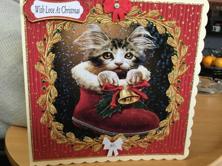 PRETTY KITTY 2 by Jennie Settle