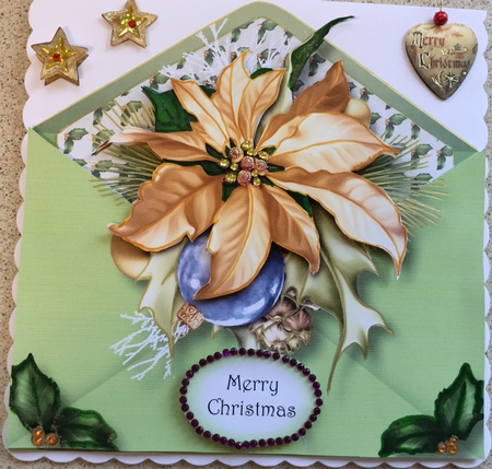 Christmas Envelope Of Flowers - Gold Poinsettia by Jennie Settle