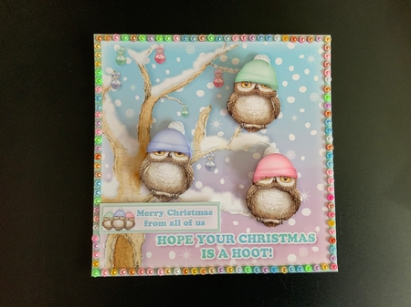 Hope Your Christmas is a Hoot by Jennie Settle