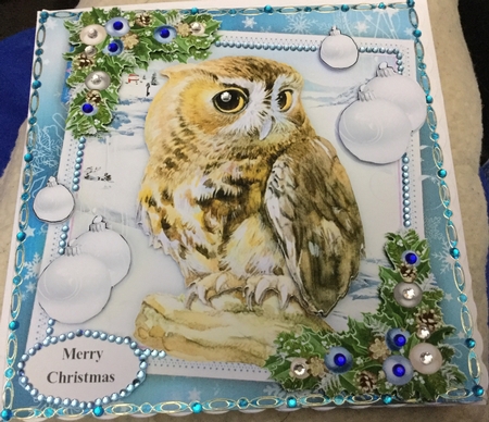 Gorgeous Brown Owl With Baubles 8x8 Mini Kit by Jennie Settle