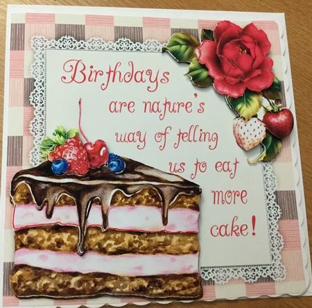 Birthday Cake Humor  8x8 Mini Kit by Jennie Settle