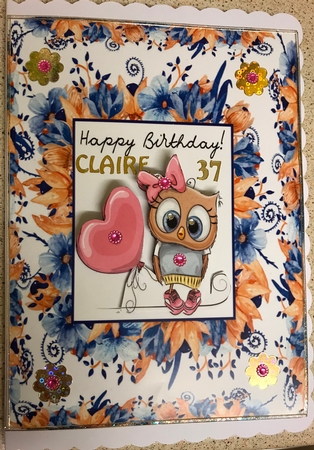 cute owl florel frame  by Jennie Settle