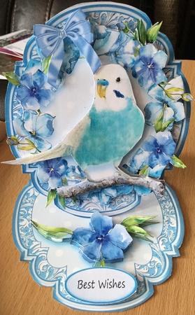 Feathered Friends Shaped Easel  Kit-4 by Jennie Settle