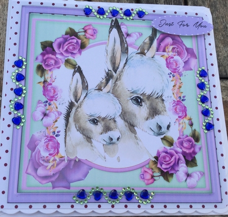 Together Forever , Donkey by Jennie Settle
