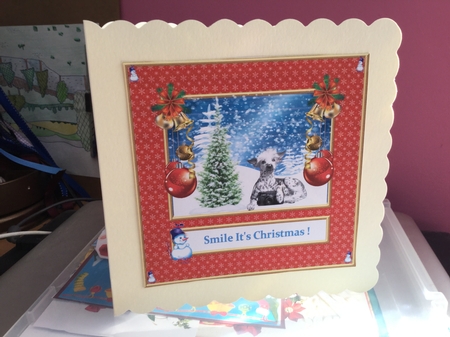 A Christmas dog kit by Jennie Settle
