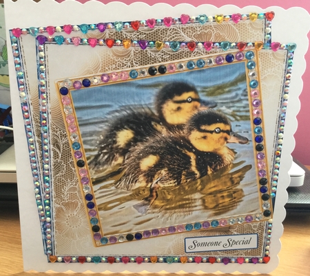 MIX n MATCH SENTIMENTS 5 DUCKLINGS by Jennie Settle