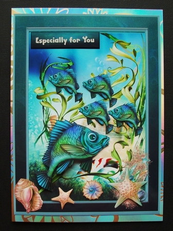 Lovely Shoal of Fish by Jennifer (Jaye) Smith-Kirk