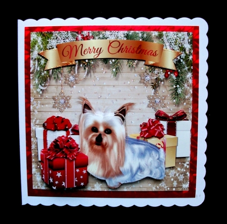 YORKSHIRE TERRIER   by Jennifer (Jaye) Smith-Kirk
