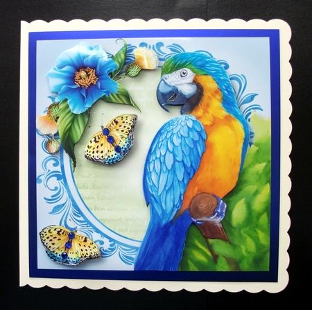 Watercolour Wonder Animals Bumper Kit by Jennifer (Jaye) Smith-Kirk