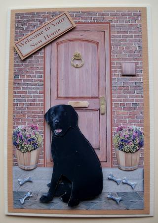 Black Labrador on a Door Step by Jennifer (Jaye) Smith-Kirk