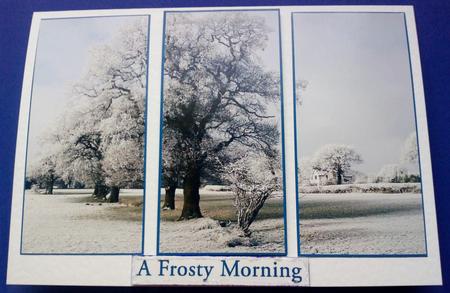 A Frosty Morning by Jennifer (Jaye) Smith-Kirk