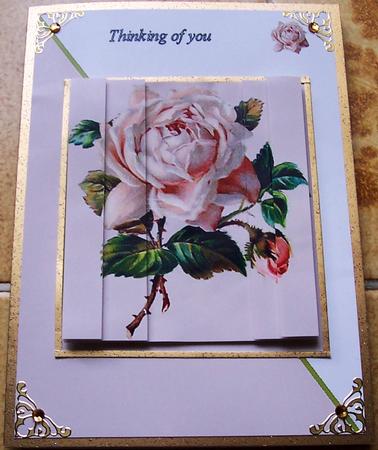 The Rose by Jennifer (Jaye) Smith-Kirk