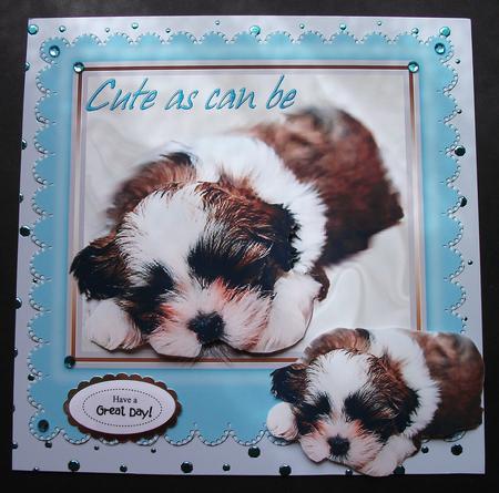 Cute as Can Be, Puppy in a Frame by Jennifer (Jaye) Smith-Kirk