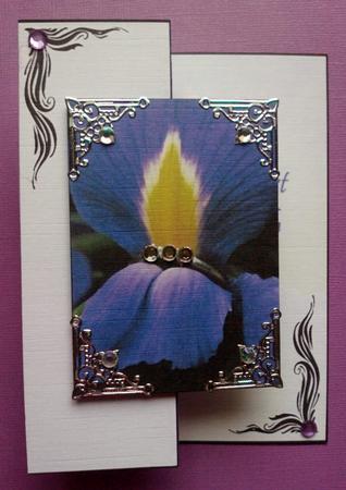 Engagement Ring on Purple Iris by Jennifer (Jaye) Smith-Kirk