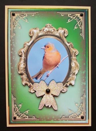 Chaffinch Card Front with Decoupage by Jennifer (Jaye) Smith-Kirk