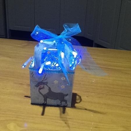 Frozen themed Gift Bag/box by Jennifer Purdon