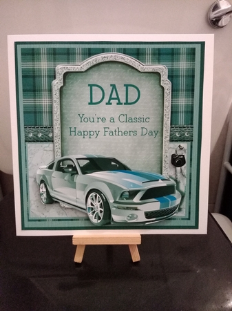 Mustang Racing Car by Jennifer Selbie