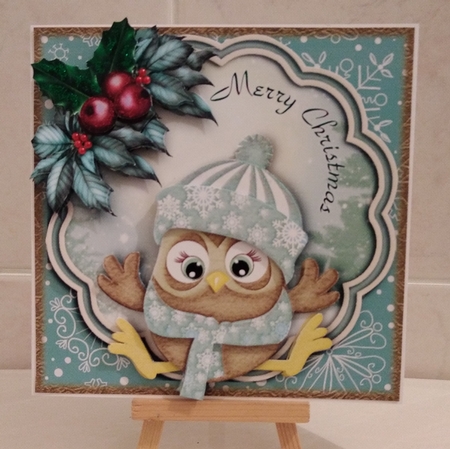 Baby Boys Christmas Owl Card Front Kit by Jennifer Selbie