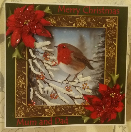The Robin In Winter by Jennifer Selbie