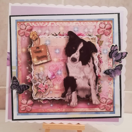 Happy Birthday Border Collie by Jennifer Selbie
