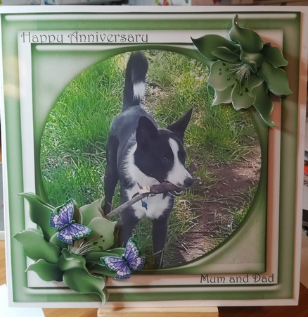 Square Frames - Flower Edged Glass Frames Set 1 by Jennifer Selbie