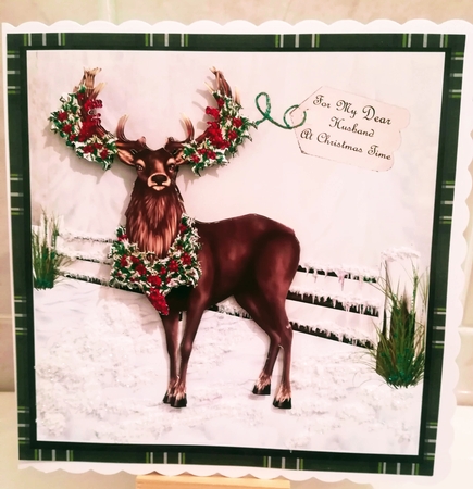 Stag by Jennifer Selbie