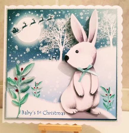 The Winter Wonderland Rabbit by Jennifer Selbie