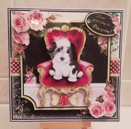 The Pampered Pooch by Jennifer Selbie